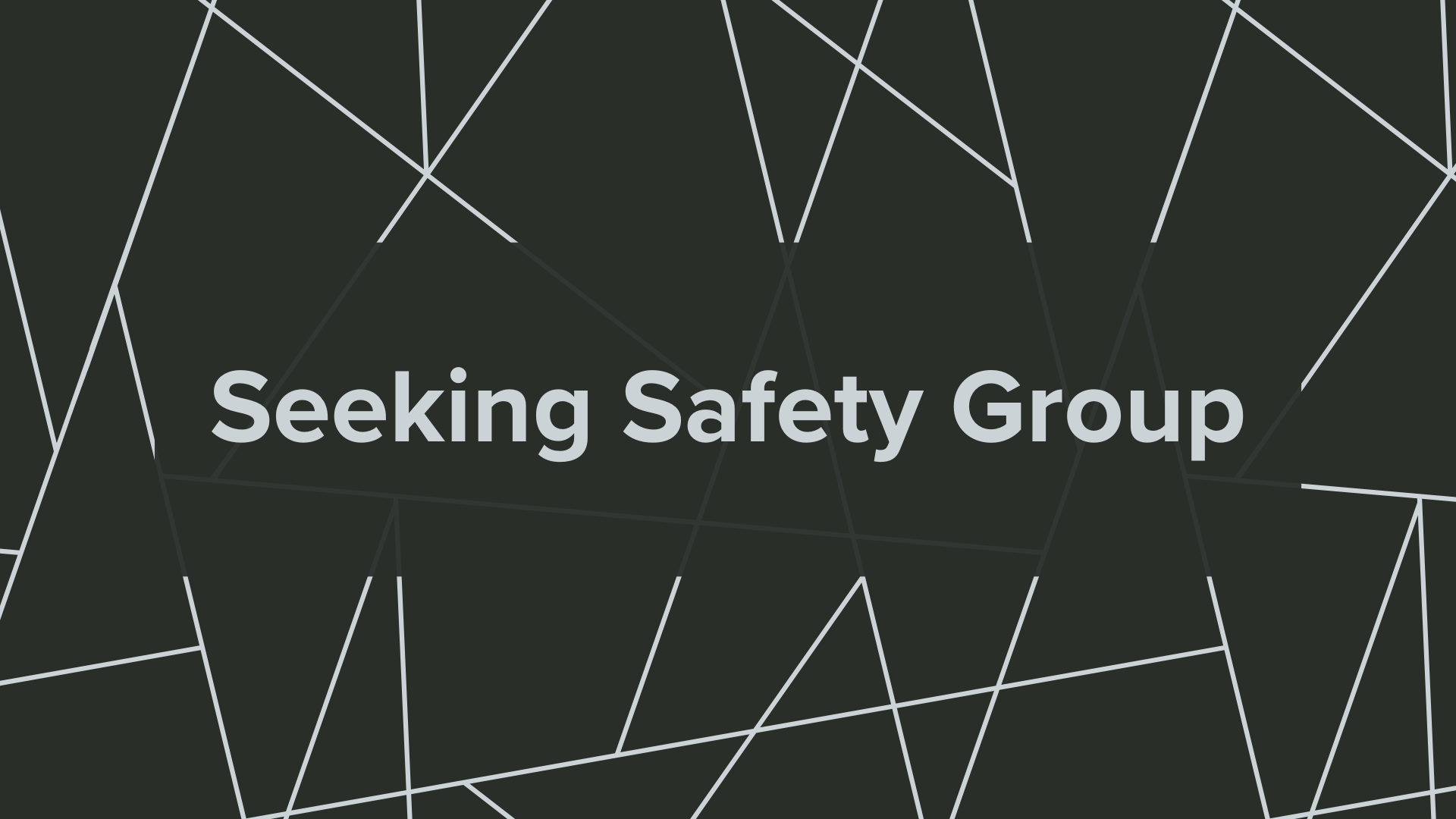 Seeking Safety Group